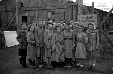 weibliche und männliche Überlebensweisen im konzentrationslager fernetzt