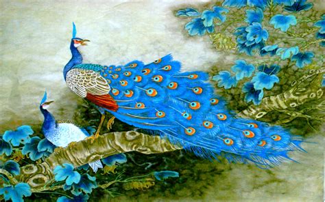 49 Beautiful Peacock Wallpapers Wallpapersafari