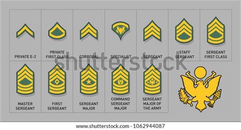 Army Enlisted Rank Insignia Isolated Vector Stock Vector Royalty Free