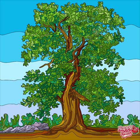 Gambar Pohon Rindang Animasi