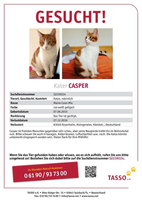 Hier finden sie alle bei uns als vermisst gemeldete katzen. Rot-weißer Kater Casper wird im Bereich Rosenheim vermisst ...