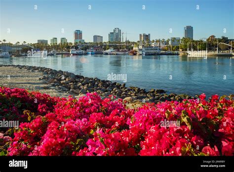 Beautiful Sunset Scene Around Rainbow Harbor Long Beach California U