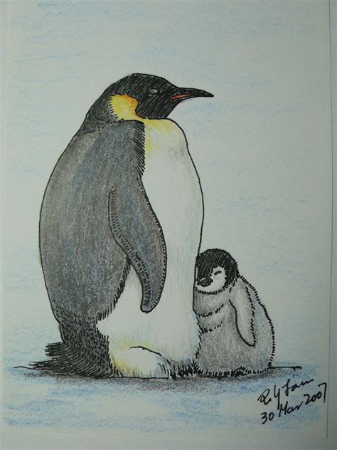 Emperor Penguin Color Pencil Drawing Poyeelam0321 Flickr