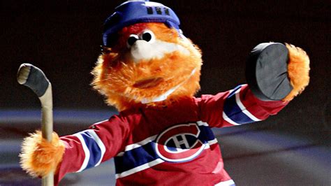 Having previously been the mascot of the montreal. Habs visit children's hospital, make kid's day - Sportsnet.ca