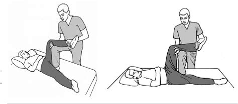 Figure 4 From A Detailed Review Of Hip Reduction Maneuvers A Focus On