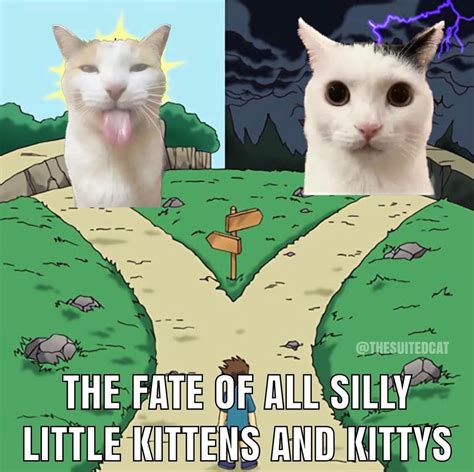 The Fate Of All Silly Little Kittens And Kittys Silly Cats Know Your Meme