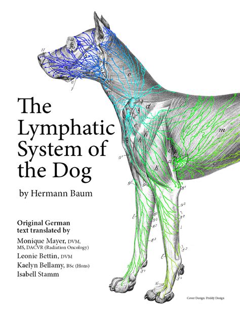 The Lymphatic System Of The Dog Simple Book Publishing