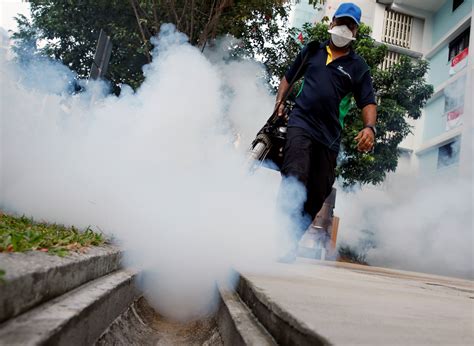 Aerial Pesticide Spray Adds To Fears In Zika Stricken Miami Fox News