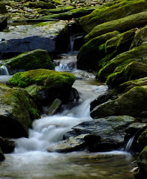 Gambar Pemandangan Pohon Alam Batu Air Terjun Sungai Kecil