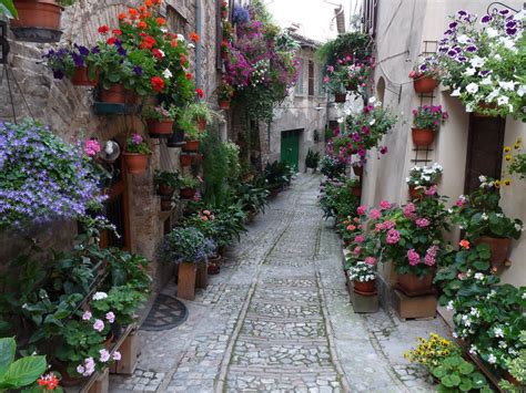 Image Detail For Beautiful Street Beautiful Flowers Houses Old