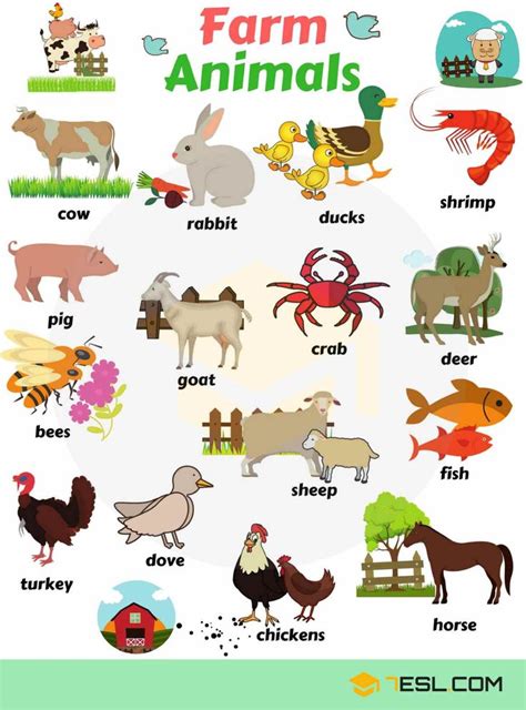 Learn 100 Animal Names In English Animals Name In English English