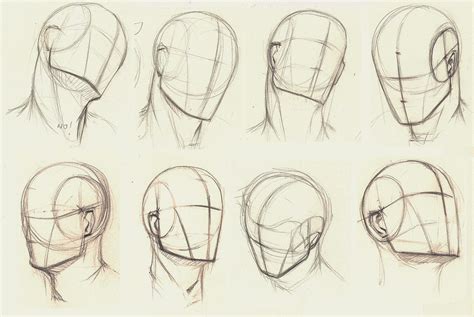 Anime eyes come in many shapes and sizes. skull and head turnaround - Google Search | Рисование ...