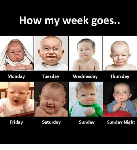 The best happy friday meme for you. How My Week Goes Monday Tuesday Wednesday Thursday Friday ...