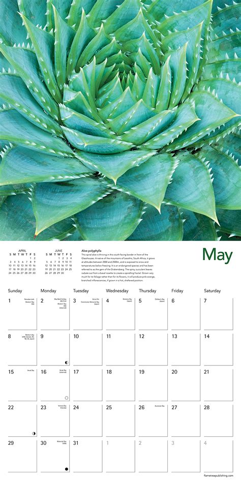 Cambridge University Botanic Garden 2022 Wall Calendar Art Calendar