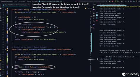 How To Check If Number Is Prime Or Not In Java How To Generate And