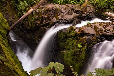 Best Hikes In Olympic National Park And Olympic Peninsula Wa