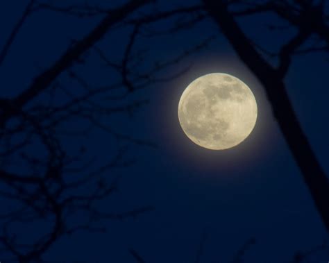 Mystic Moon Flickr Photo Sharing