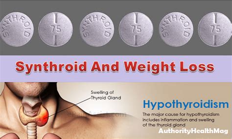 If you are low in these nutrients, your thyroid can't adequately produce its hormones, convert t4 to t3, or get t3 into your cells to attach to thyroid receptors, which can cause hypothyroidism symptoms, such as thyroid hair loss. Can synthroid cause weight gain > THAIPOLICEPLUS.COM