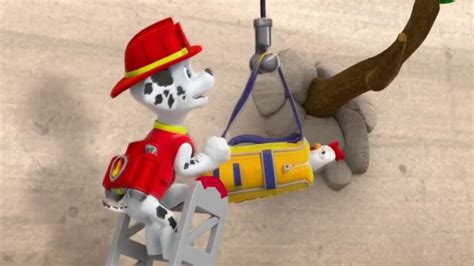 Paw Patrol Marshall Saves Chickaletta Youtube