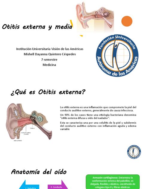 Otitis Externa Y Media Pdf Cabeza Y Cuello Humanos Anatomía Humana