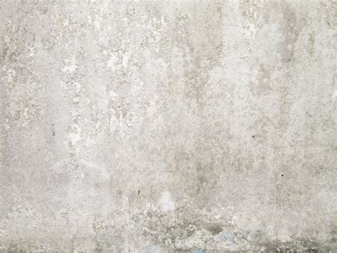 Dirty White Wall Stock Photo Image Of Paint Dirt Abstract 60289656