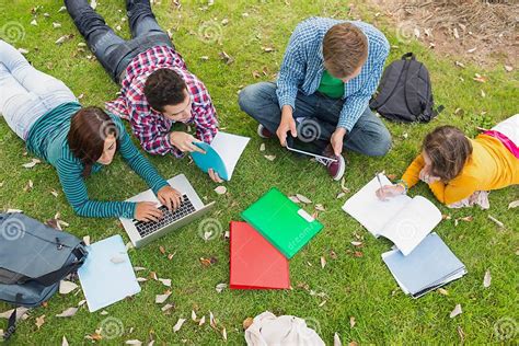 College Students Using Laptop While Doing Homework In Park Stock Image