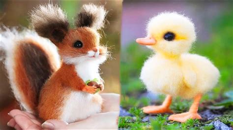 Cutest Baby Animals Video Compilation
