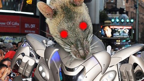 The Return Of The Rat Cyborg Top 10 Stories Sbs News