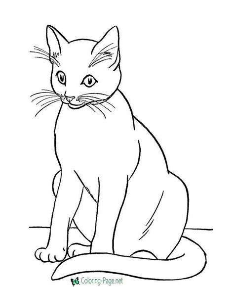 Cat Coloring Pages