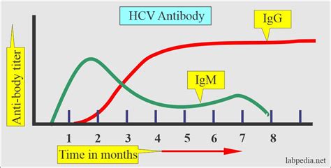 Hepatitis C Virus Hcv Hcv Profile Diagnosis And Treatment
