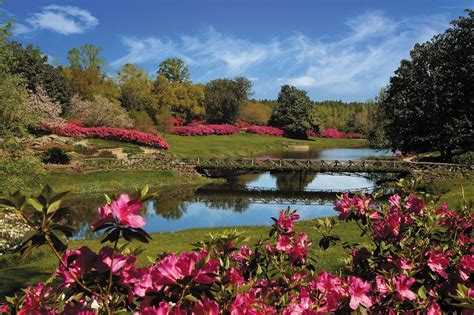 11 Beautiful Alabama Gardens To Visit This Spring