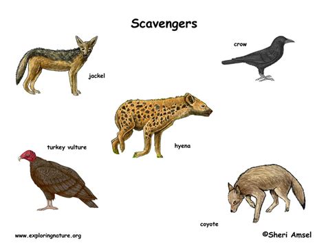 Scavengers might look a lot like other games you've dumped dozens of hours into, but this isn't really a battle royale. Scavengers Poster