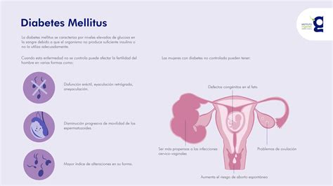 Diabetes Mellitus ¿cómo Afecta La Fertilidad Masculina