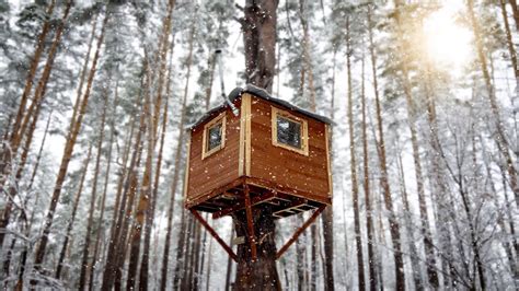 Cozy Tree House Im Hiding From The Frost And Snowfall In A Treehouse