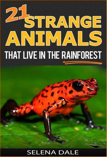 21 Strange Animals That Live In The Rainforest Weird And Won In 2019