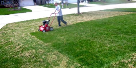 How To Dethatch A Large Lawn Dethatching Your Lawn Cubag Mow