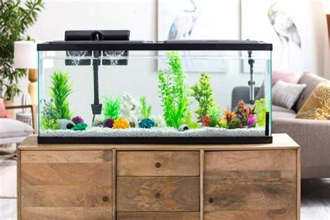 Aqua Culture 55 Gallon Glass Fish Tank Led Aquarium Kit Online Only