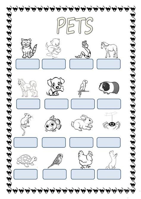 Pets Worksheet Free Esl Printable Worksheets Made By Teachers Pets