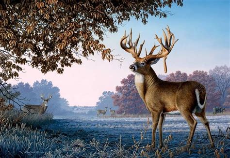 Monster Buck Print Wildlife Art Deer Artwork Hunting Art