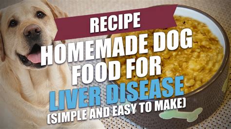 The nutrition strategy selected for a dog sets the optimal level of each of these food components. Homemade Dog Food for Liver Disease ... | Homemade dog ...