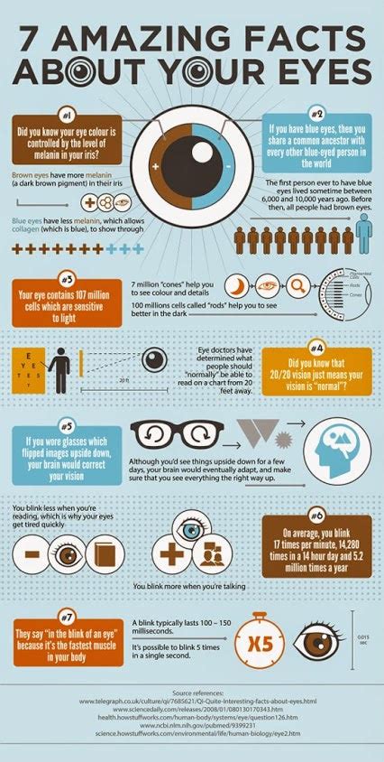 7 Interesting Facts About The Human Eye Eyecandys®