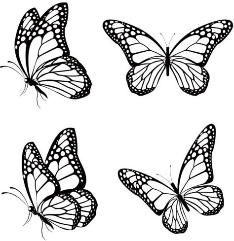 Monarch Butterfly Illustrations Royalty Free Vector