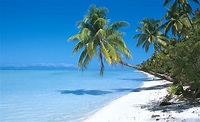 Have you thought of visiting the beautiful islands of the South Pacific ...