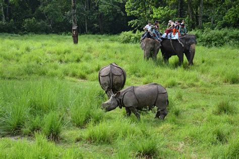 Chitwan Jungle Safari Overland Trek Nepal