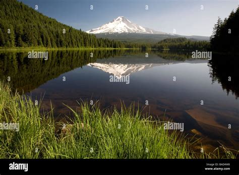 Mountain Reflected In Trillium Lake Mount Hood National Forest Oregon