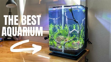 Setting Up The Marineland 5 Gallon Portrait Aquarium Youtube