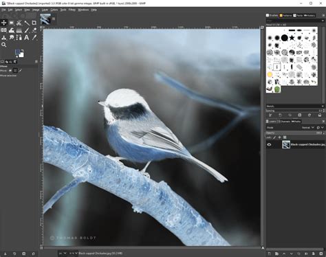 3 Ways To Invert Colors In Gimp With Steps And Tips