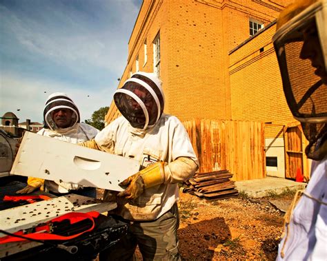 The Peace Bee Farmer Urban Beekeeping