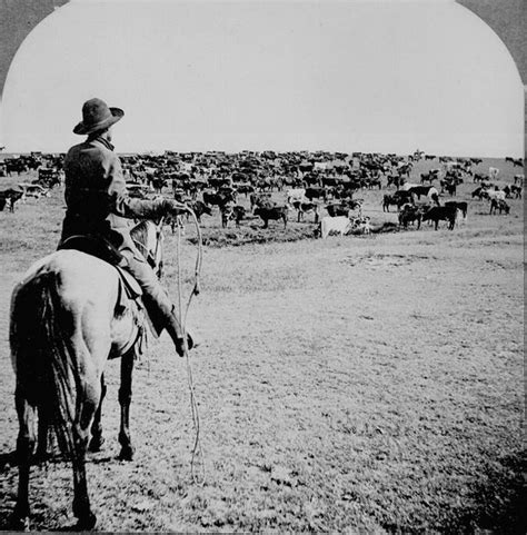 Cattle Drive Conservapedia