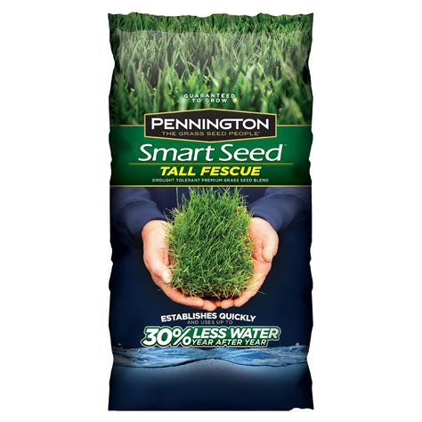 Pennington Smart Seed Tall Fescue Grass Seed 20 Lbs